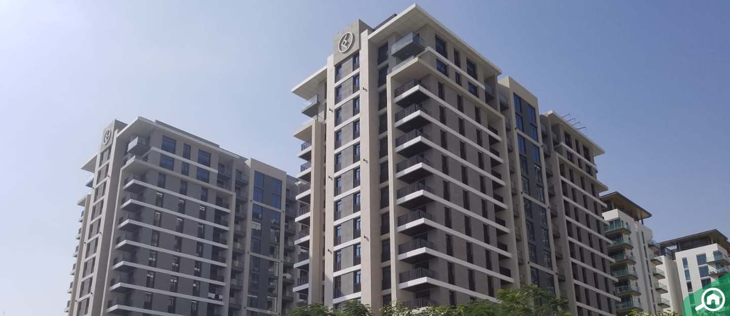 Wilton Terraces 1