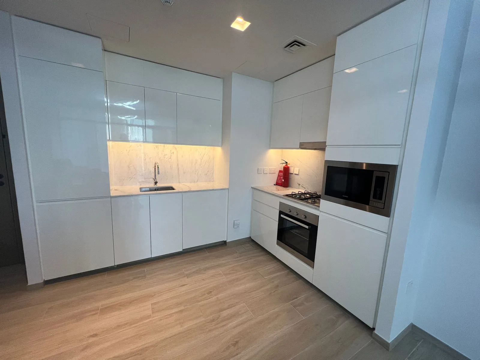 1BR in Palace Residences