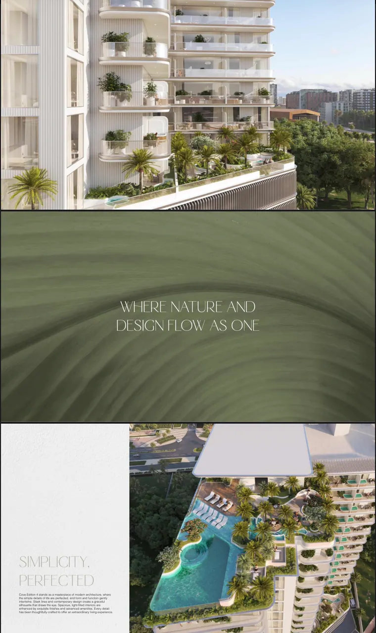 Studio in Cove Edition 4